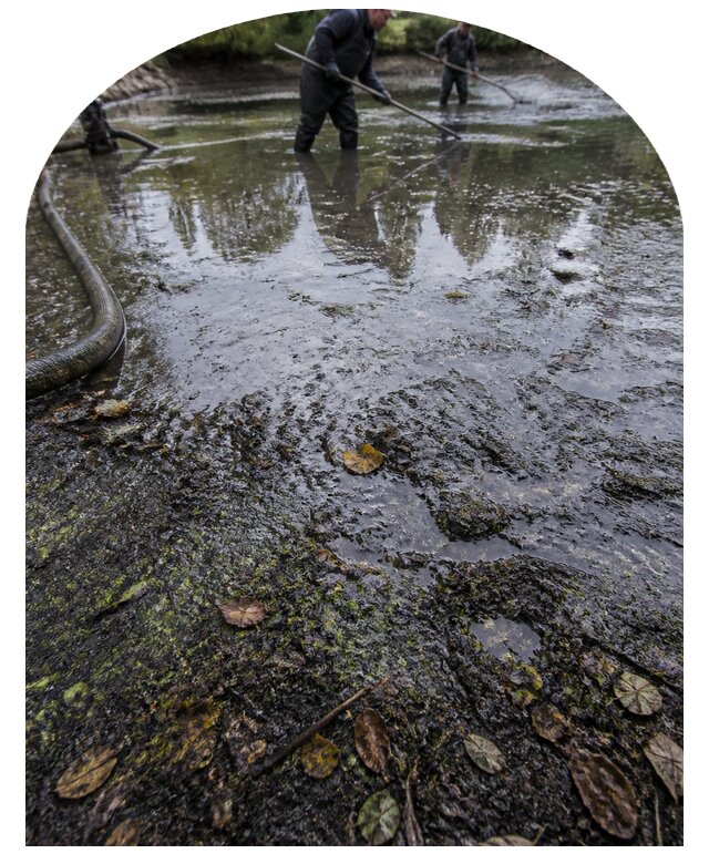 Очистка пруда в Барабинске от ила мусора и водорослей с вывозом
